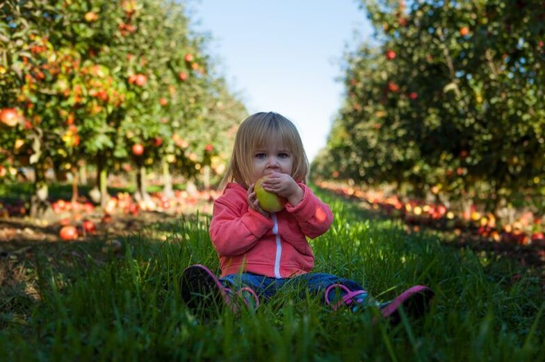 Children with diagnosis of meal diabetes can use ugly fruits